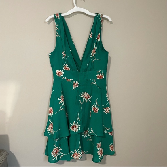 NWT BB Dakota garden strolls dress in green! - Picture 9 of 16